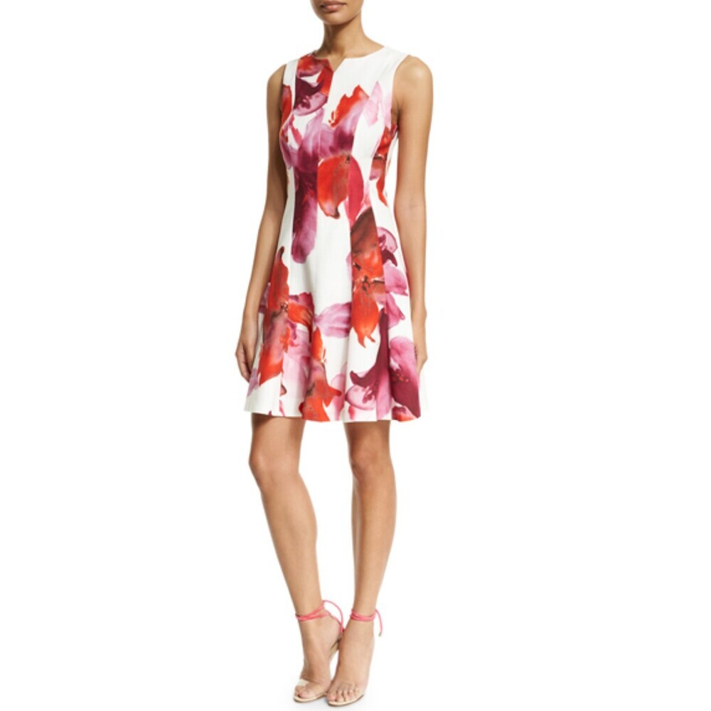 Carolina Herrera Sleeveless Floral Print Fit & Flare Dress Pink/Red Size 10